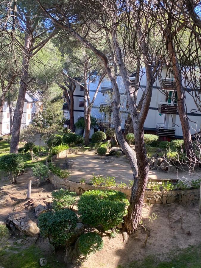 Apt Romantico Con Chimenea Con Fibra Optica Y Terraza San Martín de Valdeiglesias Buitenkant foto